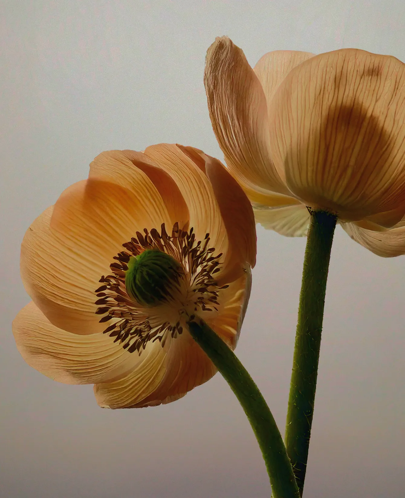 Galerie — visuel 42