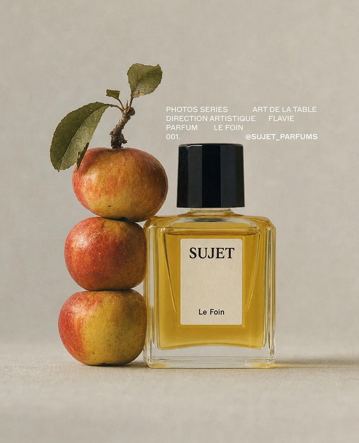 Galerie — visuel 47